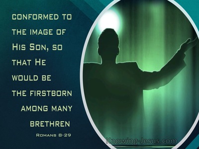 Romans 8:29 Conformed Into The Image Of Christ (sage)
